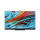 TCL 65X925 - 718176 - zdjęcie 4